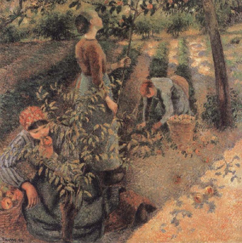  The Apple Pickers